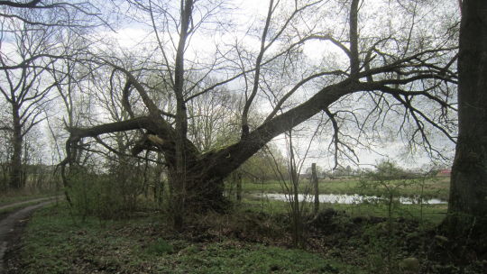 IMG_8812_1600