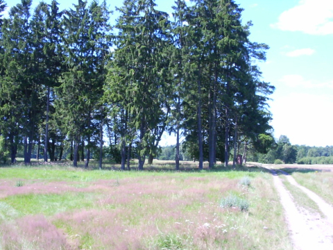 PICT0031