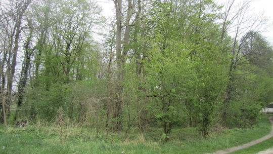 IMG_8864_1600