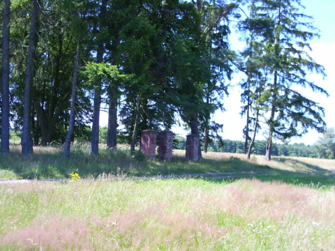 PICT0035